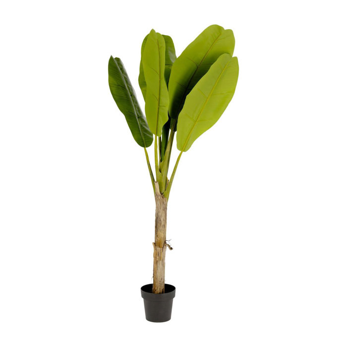The Seasonal Aisle 143cm Artificial Banana Plant in Pot Wayfair.co.uk